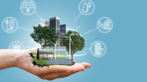 How Auckland Energy Solutions Are Transforming Homes and Businesses