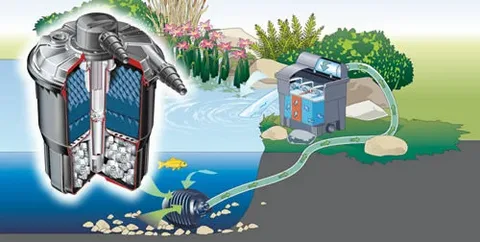 Pioneering Water Technology for Ponds and Beyond