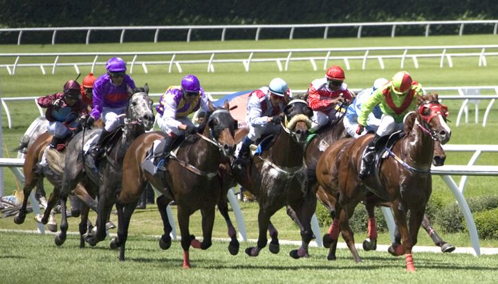 Horse Racing Betting Sites with the Best Odds Explained