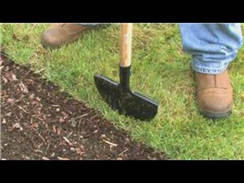 Step-by-Step Guide to Maintaining Your Push Edger