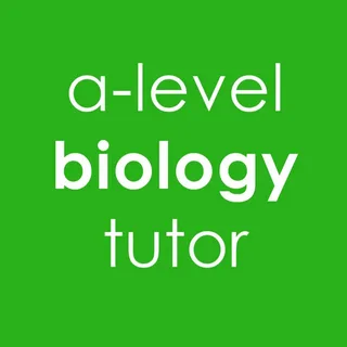 A Level Tutoring NZ Explained: What Students and Parents Need to Know